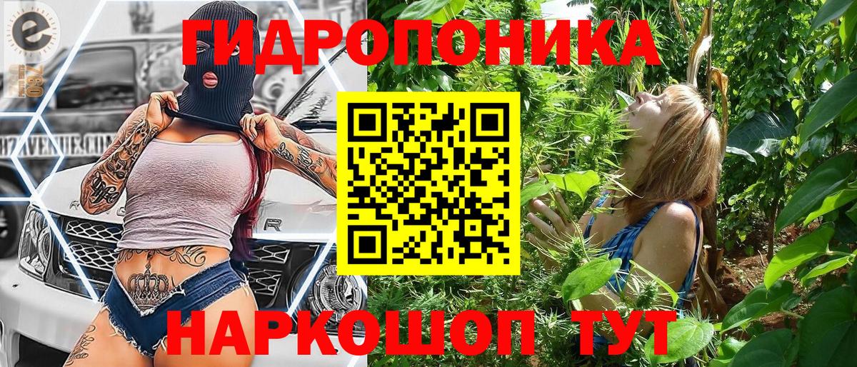 Конопля OG Kush  Каннабис Bruce Banner  Вход с VPN  Шишки марихуана индика  Тавда 